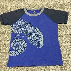 Tea Collection Blue Chameleon raglan tee size 5 boys